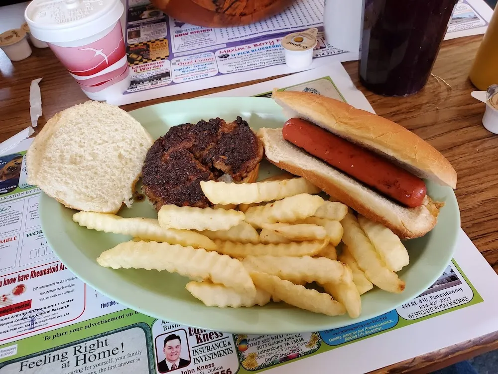 Hot Dog and Fries